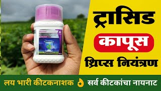 ट्रासिड किटकनाशक माहिती  Trassid insecticide information  कापूस थ्रिप्स नियंत्रण Trassid [upl. by Lehcnom475]