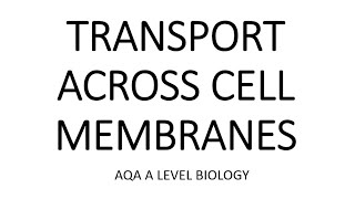 TRANSPORT ACROSS CELL MEMBRANES AQA A LEVEL BIOLOGY  EXAM QUESTIONS RUN THROUGH [upl. by Iniretake]