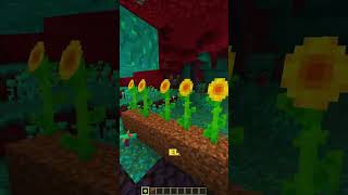 GIRASOL 64  CURIOSIDADES Y SECRETOS DE MINECRAFT minecraft curiosidadesminecraft short [upl. by Sset]