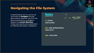 Basic Terminal Commands [upl. by Ahsemik630]