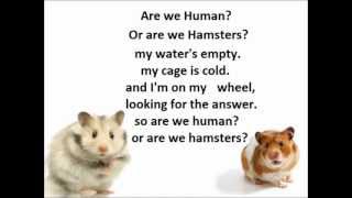 Human  The Killers Are we human Or are we hamster [upl. by Oznerol]