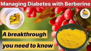 Managing Diabetes with Berberine A Breakthrough You Need to Know  Diabetes  Diabetes ka ilaj [upl. by Lehar]