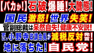 20241112 石破総理、首相指名選挙中に居眠り。菅副総裁は周囲の話に反応せず。自民党総裁と副総裁に健康不安説。103万円の壁をめぐり、小野寺政調会長が、斜め上な回答国民失笑。自民党は滅茶苦茶 [upl. by Yasmeen908]