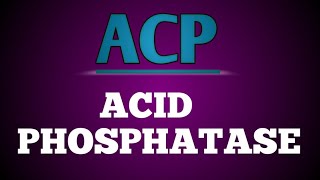 Estimation of Acid Phosphatase ACP [upl. by Haelak695]