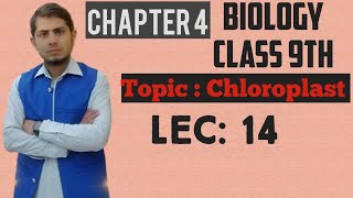 Chloroplast Explained  Class 9th Chp  4  Lec 14 [upl. by Emanuele738]