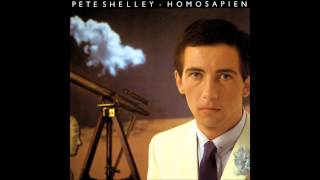 Pete Shelley  Homosapien Dance Version [upl. by Nessej757]