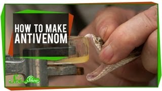 How To Make Antivenom [upl. by Aihtiekal]