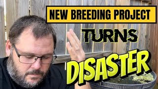 New Breeding Project Turns Disaster [upl. by Atterehs447]