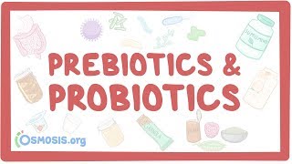 Prebiotics amp probiotics [upl. by Anuaf]