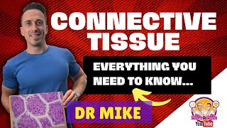 Connective Tissue  Everything you need to know [upl. by Korman270]