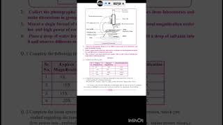 Class 11 Biology Practical 🦠 practical 1 biologypractical tim 11biology [upl. by Win]