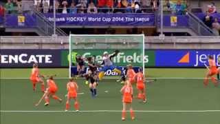 Saves of Day  Rabobank Hockey World Cup 2014 Hague Pool A 3152014 [upl. by Analrahc]