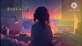 tere bin lofi song [upl. by Kassey]