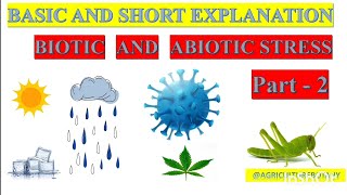 Abiotic Stress in Plants  How Environmental Factors Impact Growth and Survival  Devendra yadav [upl. by Osicnarf409]