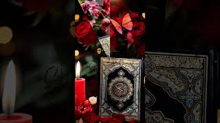 Durood Shareef  DuroodeIbrahimi [upl. by Notreve856]