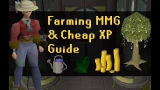 OSRS How to Train Farming Complete Guide 2020 [upl. by Yror]