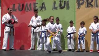 Demonstratie Karate si Tae Bo 1 iunie 2015 [upl. by Woodley]