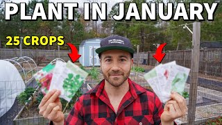 25 Veggies You Can Plant In January RIGHT NOW [upl. by Okim416]