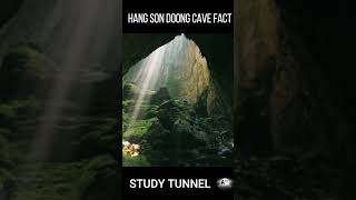 AMAZING FACT ABOUT HANG SON DOONG CAVE OF VIETNAM factsfactsinhindicaveshortsvietnam [upl. by Ettesil]