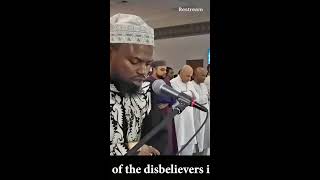 Best of Shaykh Okasha Kameny Quran Recitation [upl. by Alexandro452]