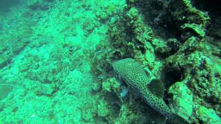 ► Thaïlande 2014  Plongée Ko PhiPhi amp Koh Lanta Gopro Hero 3  HD1080p  ► [upl. by Ellednahc]