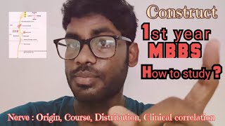 How to study for MBBS 1st year exams   Studies amp Marks  Free Books amp Notes for 1st year MBBS [upl. by Lerej]