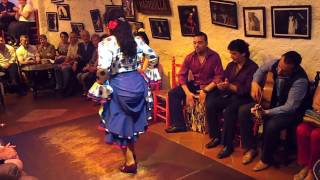 Flamenco Dance by Spanish Gypsies Part 3 [upl. by Trixi]