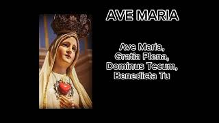 Ave Maria Gratia Plena [upl. by Mora302]