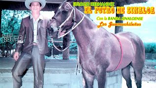 El Potro De Sinaloa  15 Exitos Canciones y Corridos [upl. by Ragan13]