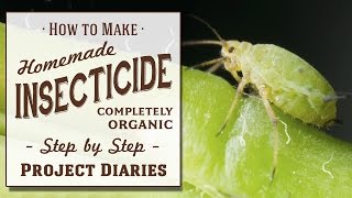 ★ How to Make Homemade Insecticide Complete Step by Step Guide to Killing Garden Pests amp Insects [upl. by Ecnarual]