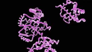 Types of Organic Molecules in Your Body [upl. by Wolsniw]