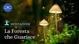 Meditazione guidata guarigione fisica  La foresta che guarisce [upl. by Tips]