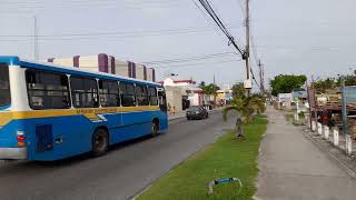 A Walking Tour Of Oistins Christ Church Barbados🇧🇧 [upl. by Deste]