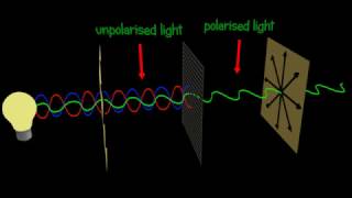 Polarization  Polarizer  Explained and animated 3d [upl. by Lyndsey]