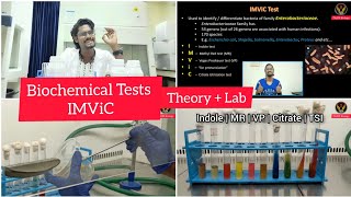 Biochemical Tests  IMViC  Tamil  Microbiology  Indole  MRVP  Citrate  Biology ThiNK VISION [upl. by Kilk]