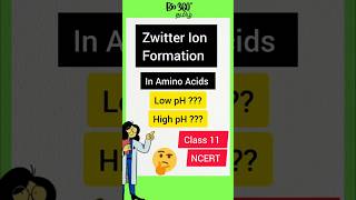 Tit Bits  Zwitter Ion Formation Amino Acids  Biomolecules Class 11 NCERT NEET Bio360hd6ti [upl. by Artinek]