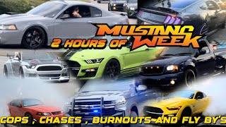 THE BIGGEST MUSTANG WEEK VIDEO IN THE WORLD  Burnouts  Cop Chases  Fly By’s and More [upl. by Ainoek491]