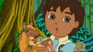 Go Diego Go S01E08 Armadillos Rainforest Race [upl. by Jonette]