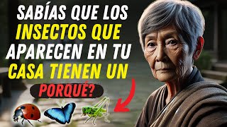 ¿Sabías que los INSECTOS que aparecen en tu casa tienen un significado SABIDURÍA BUDISTA [upl. by Hannahsohs427]