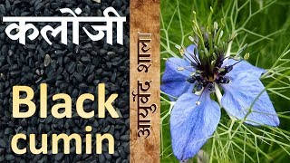 Kalonji ke fay day or upyog  Black Cumin Benefit  Ayurved shala [upl. by Anivas]