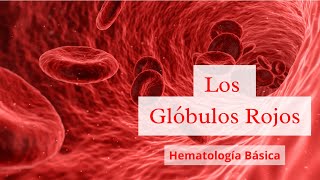 Los Globulos rojos  Hematologia Basica [upl. by Redienhcs]