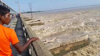 water over flow sapta koshi river nepal [upl. by Larred822]