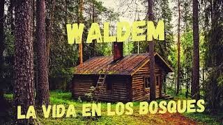 Walden o la vida en los bosques Tapa blanda – 30 junio 2007de Henry David Thoreau [upl. by Lars93]