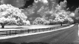 Convert Your DSLR to Infrared [upl. by Owens377]