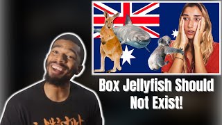 AMERICAN REACTS TO Ranking Dangerous Australian Wildlife Tier List [upl. by Natsreik268]