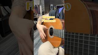 Rasgueo flamenco shortvideo guitarra guitar tecnica viral flamenco shortsviral challenge [upl. by Enamrahs]