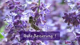 Gute Besserung [upl. by Amity]