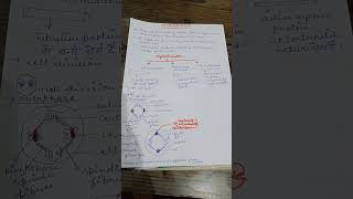 cytoskeleton biology shortvideo shortsfeeds class11 biology [upl. by Joni]