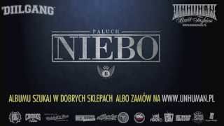 13 Paluch ft Gedz  BOR prod Donatan [upl. by Eirelam]