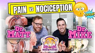 Pain vs Nociception  Podcast [upl. by Kaliope]